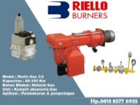 Burner Riello Gas 3 /2