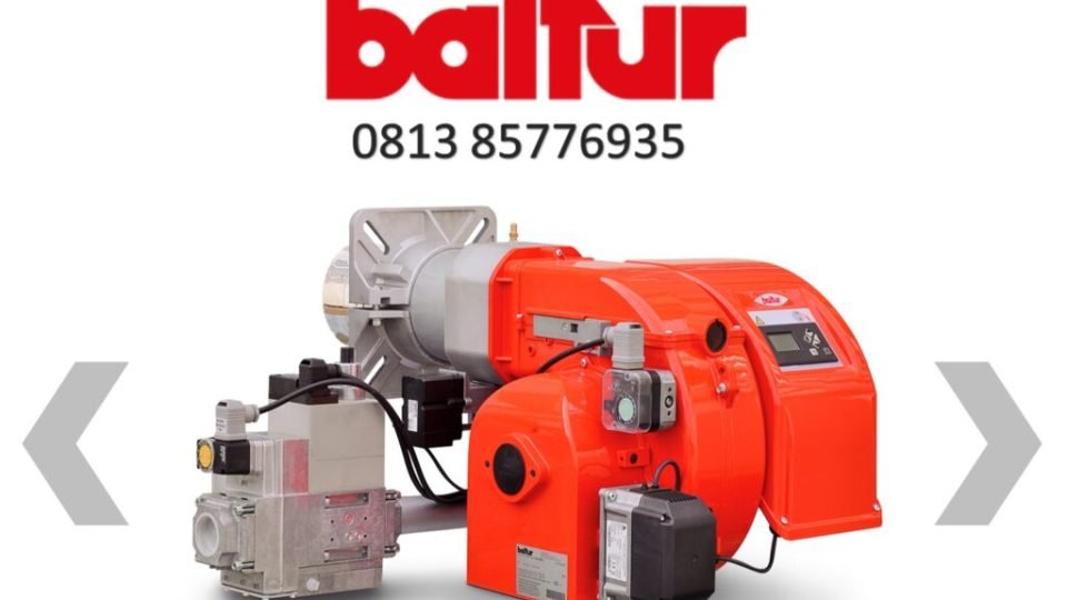 BALTUR TBG 45 GAS BURNER